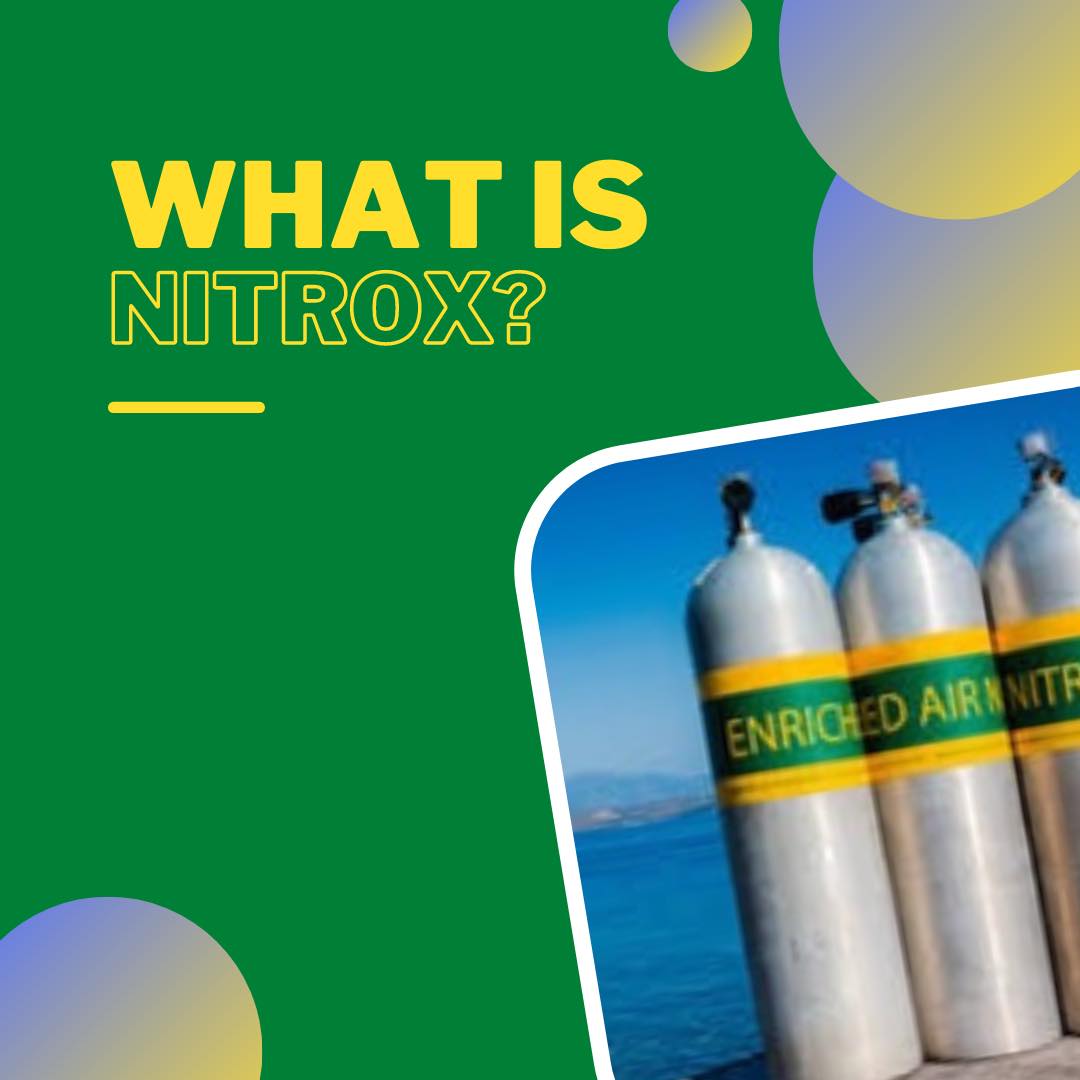 Go Dive with NITROX this season
 Do you know what is Nitrox? Get your Nitrox cou…