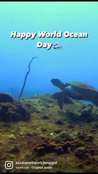 HAPPY WORLD OCEAN DAY #divermalaysia #sidemountdiver 
  #fundive #scubanetwork #…