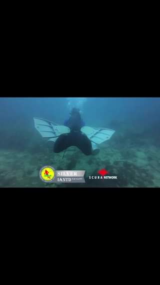 Sidemount diving in Tenggol
 Let’s learning dive in different way
 We have many …