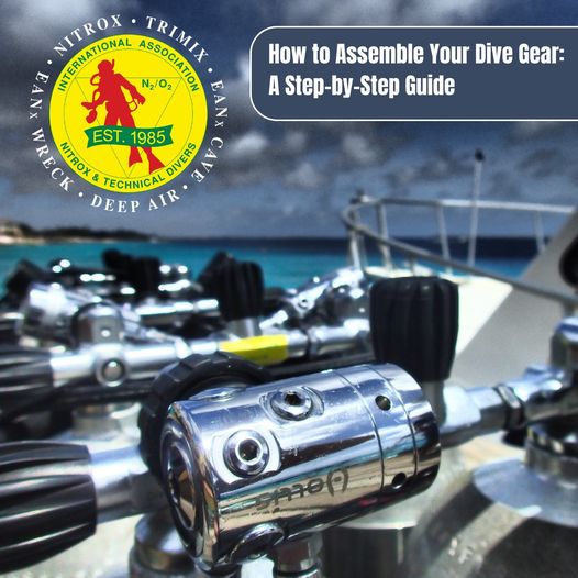 How to Assemble Your Dive Gear: A Step-by-Step Guide
 • Begin by inspecting you…